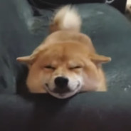 Steam Community Avatar Steam Community Avatar