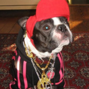 Steam Community Avatar Steam Community Avatar