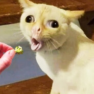 Steam Community Avatar Steam Community Avatar