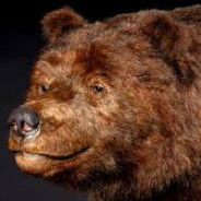 Steam Community Avatar Steam Community Avatar