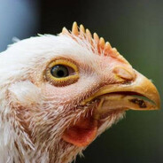 Steam Community Avatar Steam Community Avatar