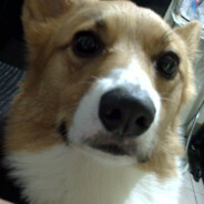 Steam Community Avatar Steam Community Avatar