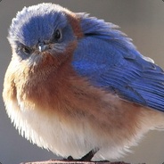 Steam Community Avatar Steam Community Avatar