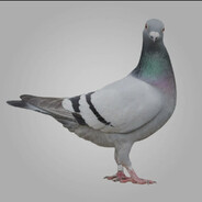 Steam Community Avatar Steam Community Avatar