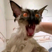 Steam Community Avatar Steam Community Avatar