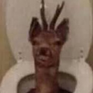 Steam Community Avatar Steam Community Avatar