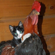 Steam Community Avatar Steam Community Avatar