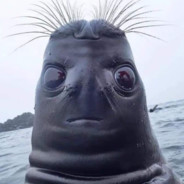 Steam Community Avatar Steam Community Avatar