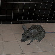 Steam Community Avatar Steam Community Avatar