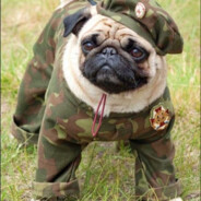 Steam Community Avatar Steam Community Avatar