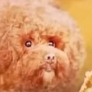 Steam Community Avatar Steam Community Avatar