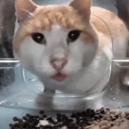 Steam Community Avatar Steam Community Avatar