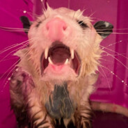 Steam Community Avatar Steam Community Avatar