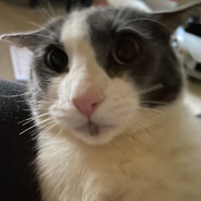 Steam Community Avatar Steam Community Avatar