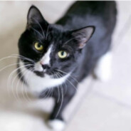 Steam Community Avatar Steam Community Avatar