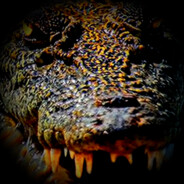 Steam Community Avatar Steam Community Avatar