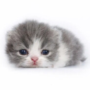 Steam Community Avatar Steam Community Avatar