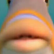 Steam Community Avatar Steam Community Avatar