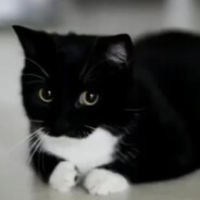 Steam Community Avatar Steam Community Avatar