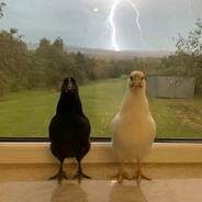 Steam Community Avatar Steam Community Avatar