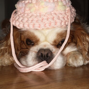 Steam Community Avatar Steam Community Avatar