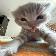 Steam Community Avatar Steam Community Avatar