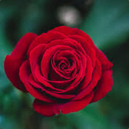 Steam Community Avatar Steam Community Avatar