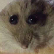 Steam Community Avatar Steam Community Avatar