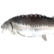 Steam Community Avatar Steam Community Avatar