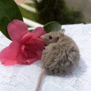 Steam Community Avatar Steam Community Avatar