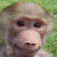 Steam Community Avatar Steam Community Avatar