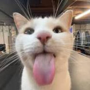 Steam Community Avatar Steam Community Avatar