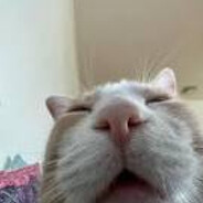 Steam Community Avatar Steam Community Avatar