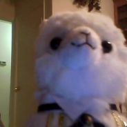 Steam Community Avatar Steam Community Avatar