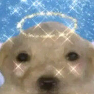 Steam Community Avatar Steam Community Avatar