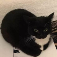 Steam Community Avatar Steam Community Avatar