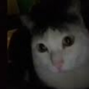 Steam Community Avatar Steam Community Avatar