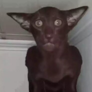 Steam Community Avatar Steam Community Avatar