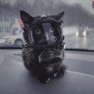 Steam Community Avatar Steam Community Avatar