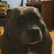 Steam Community Avatar Steam Community Avatar