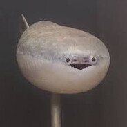 Steam Community Avatar Steam Community Avatar