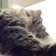 Steam Community Avatar Steam Community Avatar