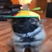 Steam Community Avatar Steam Community Avatar