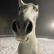 Steam Community Avatar Steam Community Avatar