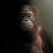 Steam Community Avatar Steam Community Avatar