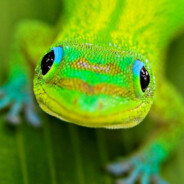 Steam Community Avatar Steam Community Avatar