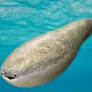 Steam Community Avatar Steam Community Avatar