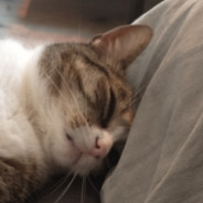 Steam Community Avatar Steam Community Avatar