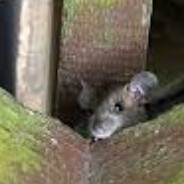 Steam Community Avatar Steam Community Avatar