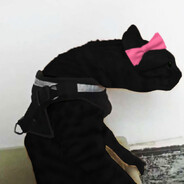 Steam Community Avatar Steam Community Avatar